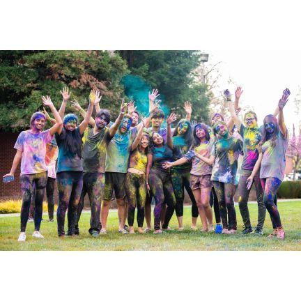 students celebrate holi